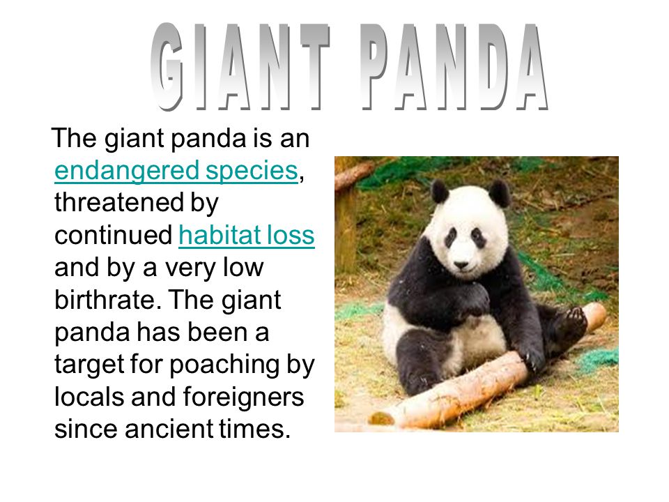 THIS PRESENTATION IS MADE ON THE TOPIC “ENDANGERED SPECIES”. - ppt download