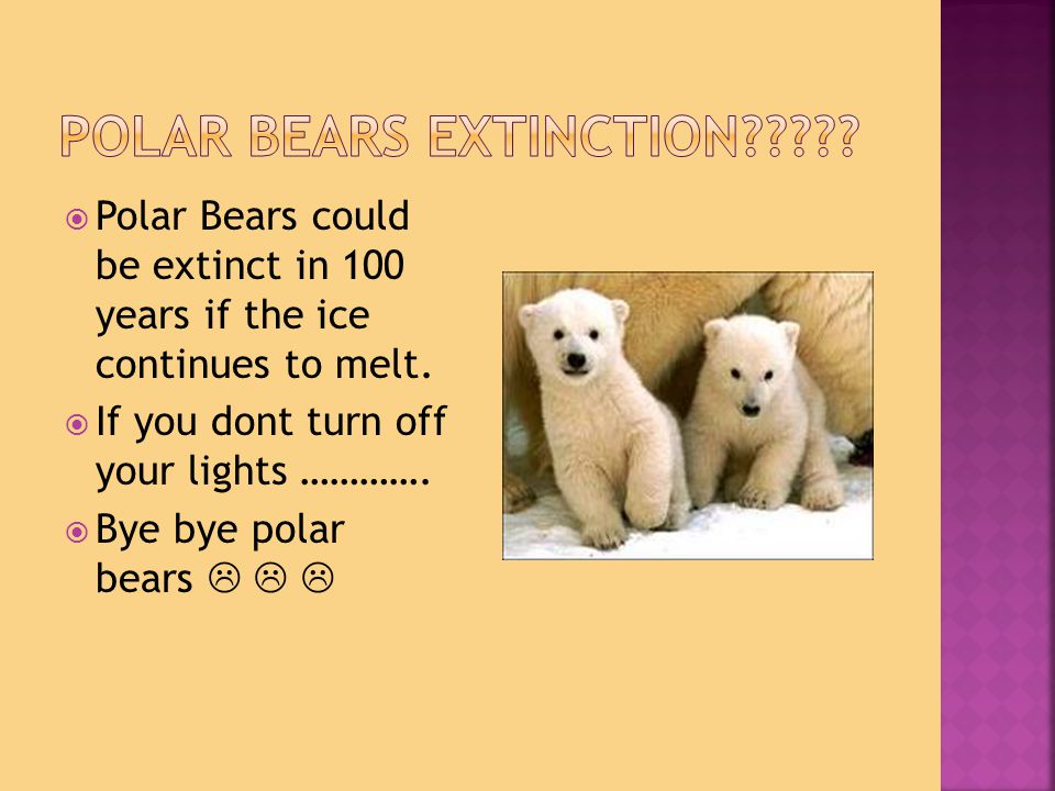  Polar Bears could be extinct in 100 years if the ice continues to melt.