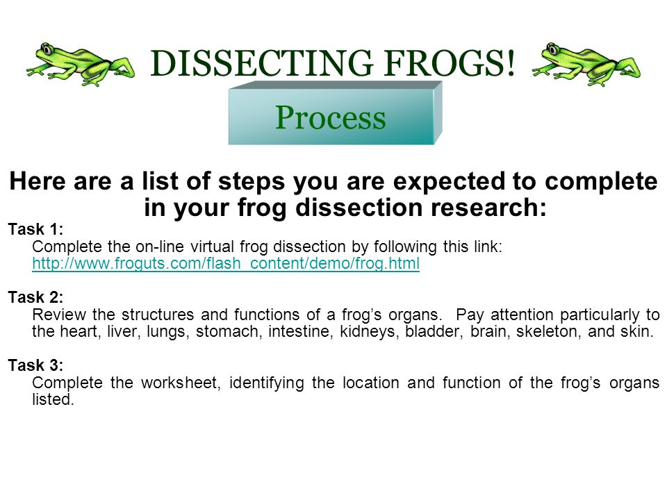 virtual frog dissection worksheet answers