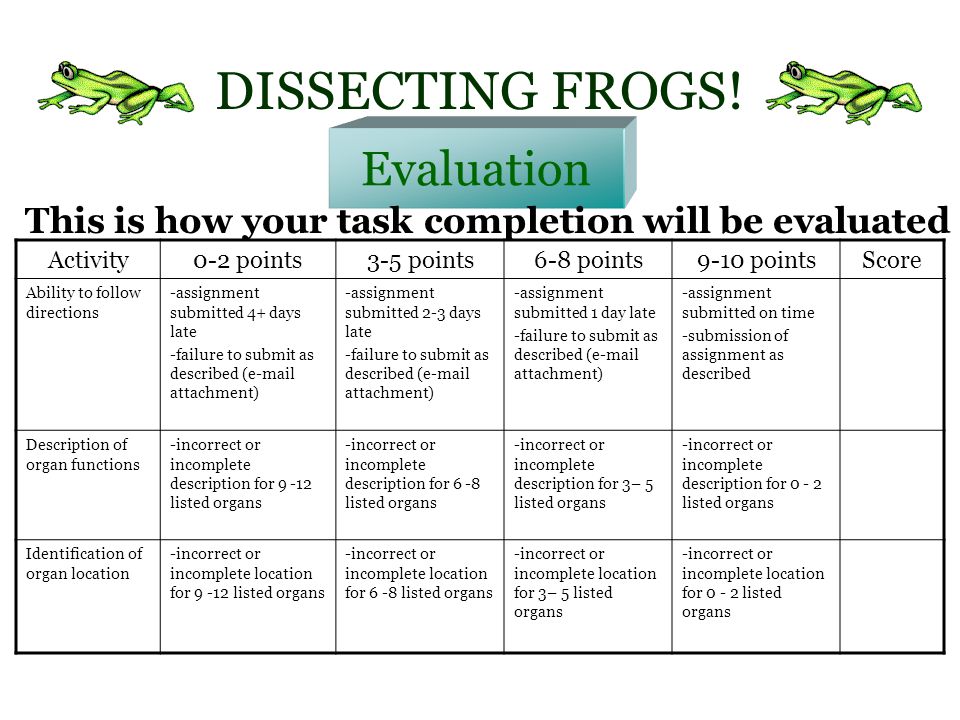 virtual frog dissection key