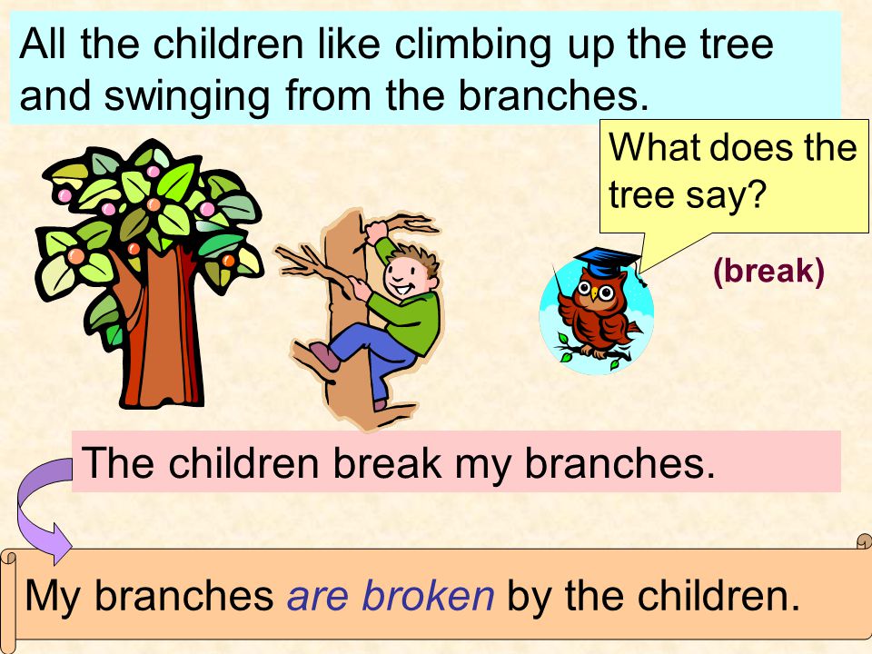 All the children like climbing up the tree and swinging from the branches.