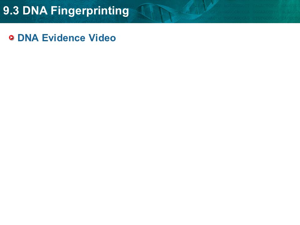 9.3 DNA Fingerprinting DNA Evidence Video