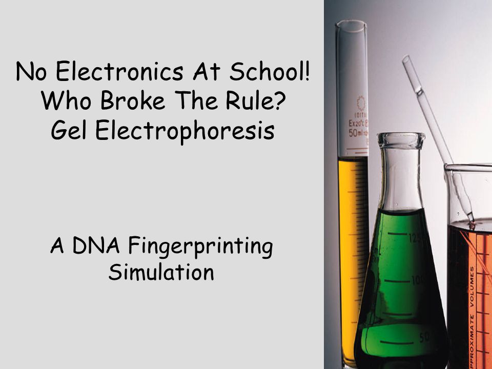 No Electronics At School! Who Broke The Rule Gel Electrophoresis A DNA Fingerprinting Simulation