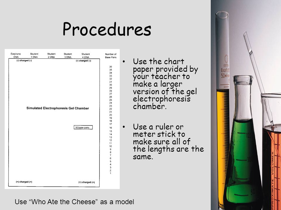Procedures Use the chart paper provided by your teacher to make a larger version of the gel electrophoresis chamber.