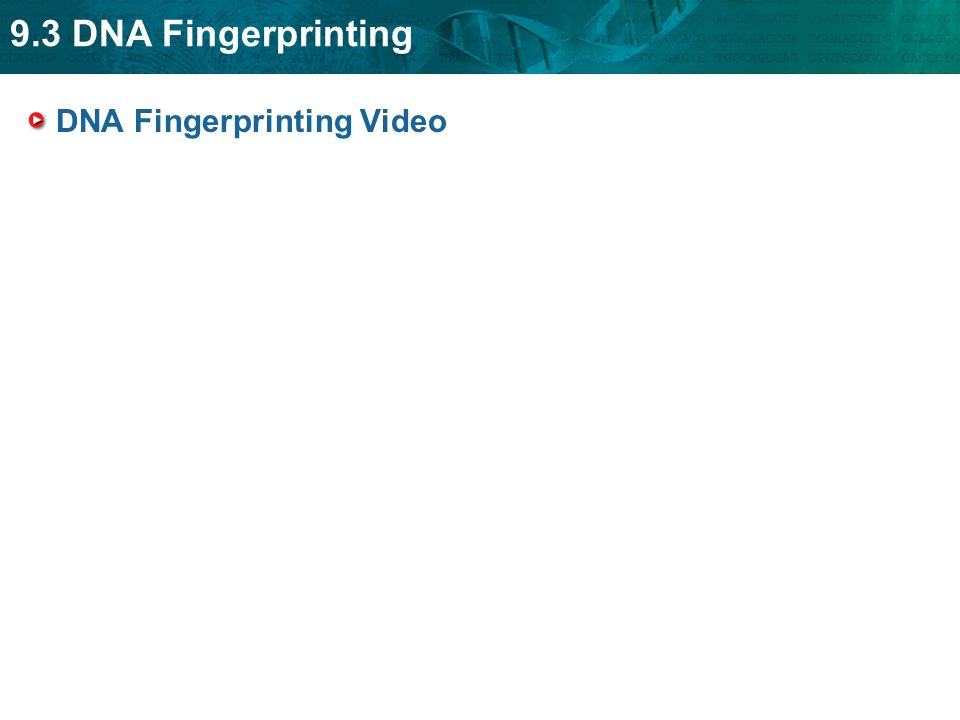 9.3 DNA Fingerprinting DNA Fingerprinting Video