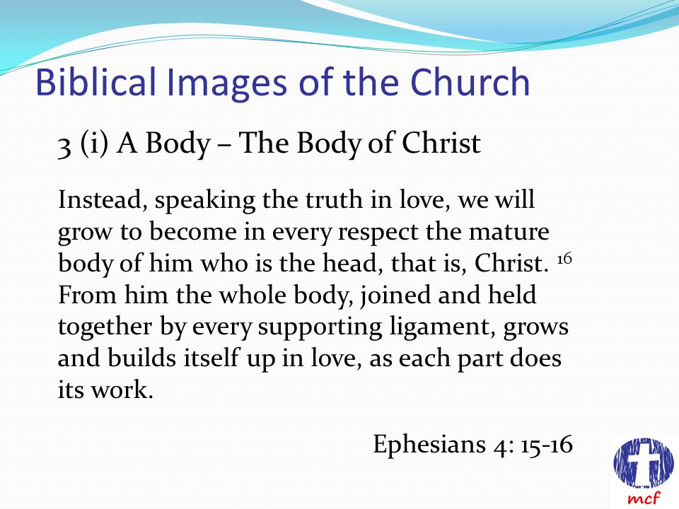Biblical Images of the Church 3 (i) A Body – The Body of Christ Instead, speaking the truth in love, we will grow to become in every respect the mature body of him who is the head, that is, Christ.