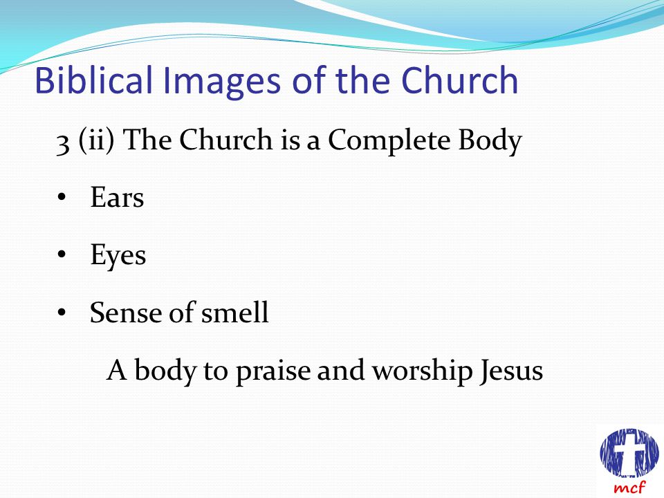 Biblical Images of the Church 3 (ii) The Church is a Complete Body Ears Eyes Sense of smell A body to praise and worship Jesus