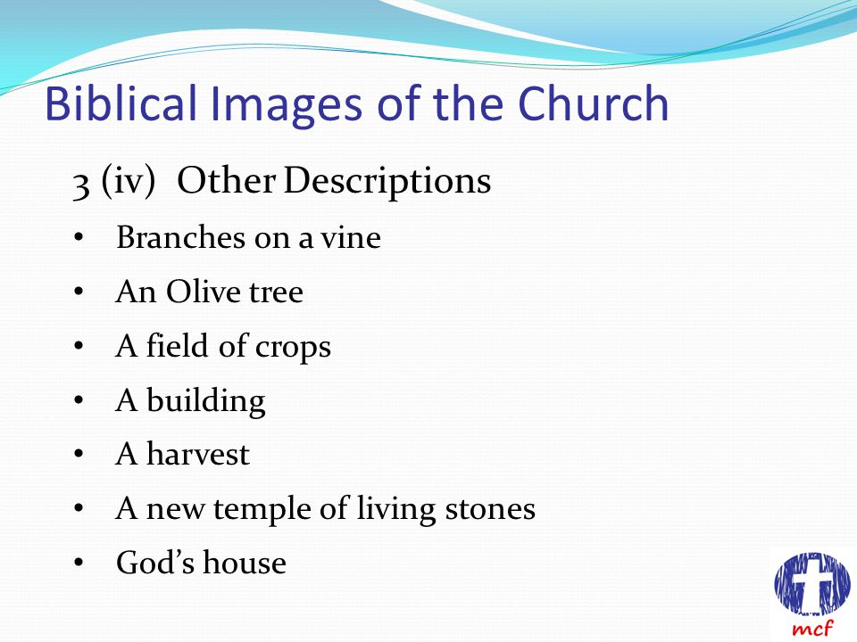Biblical Images of the Church 3 (iv) Other Descriptions Branches on a vine An Olive tree A field of crops A building A harvest A new temple of living stones God’s house