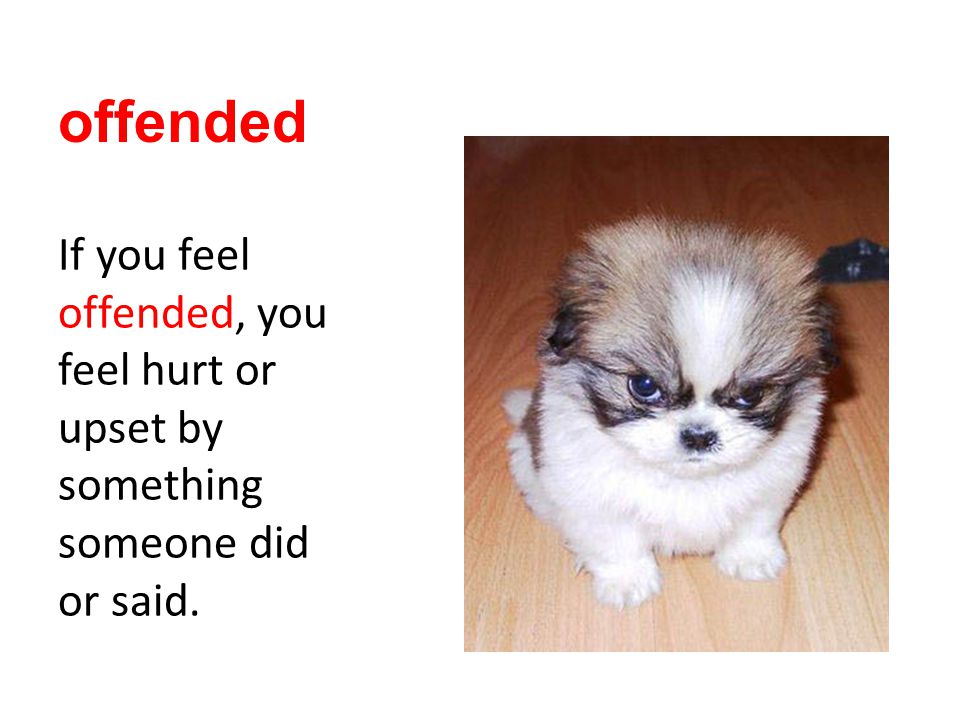 offended If you feel offended, you feel hurt or upset by something someone did or said.