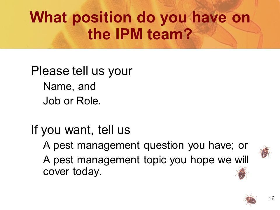 16 What position do you have on the IPM team. Please tell us your Name, and Job or Role.
