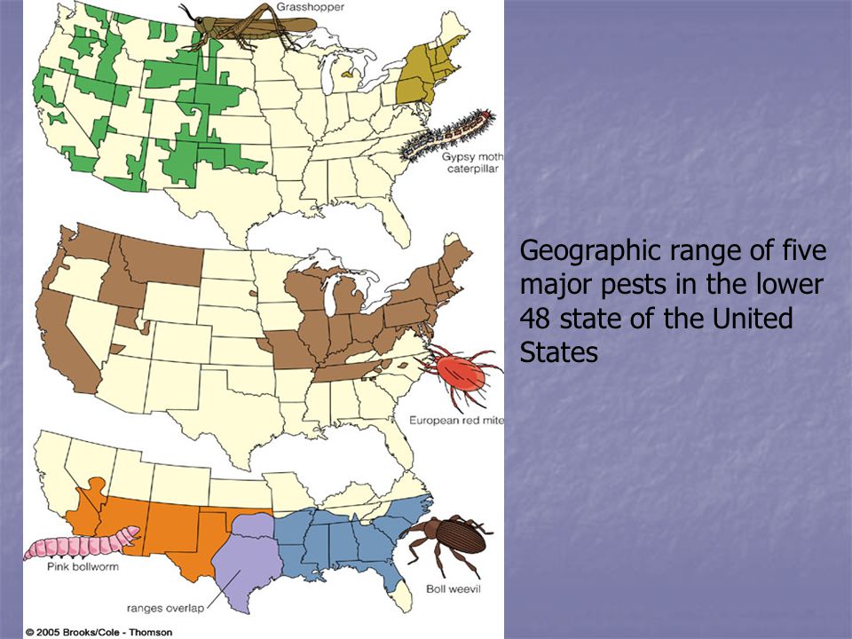 Geographic range of five major pests in the lower 48 state of the United States