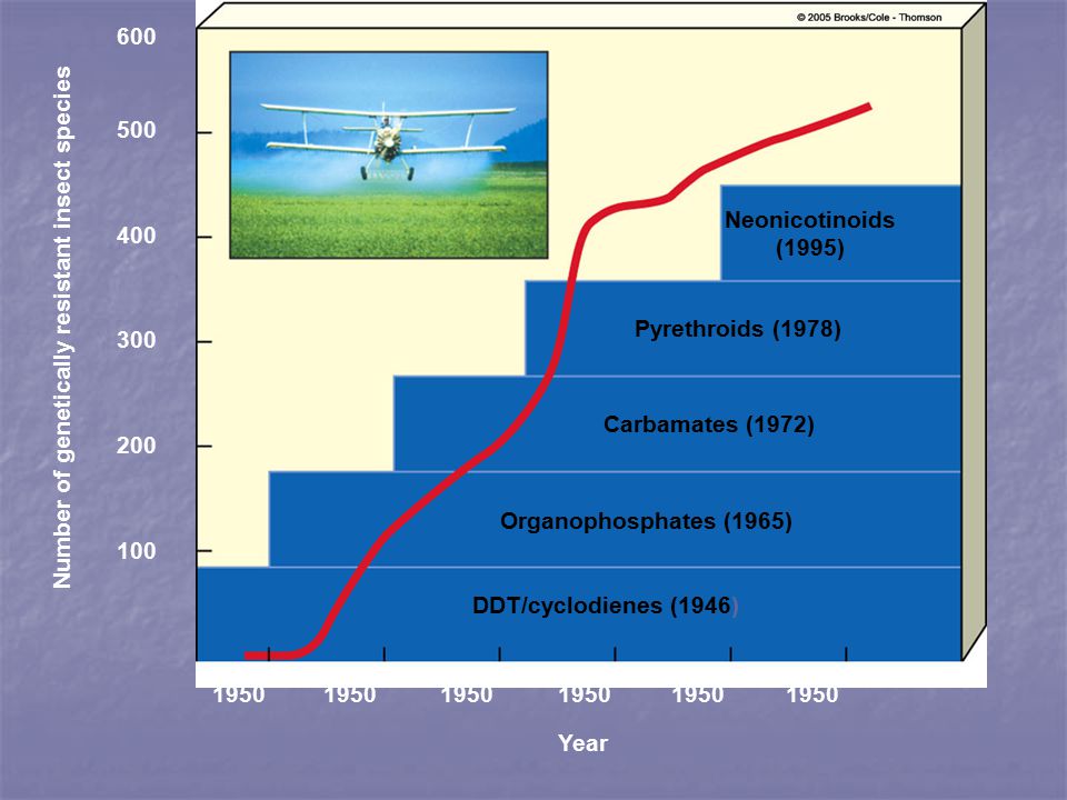 Number of genetically resistant insect species Year Neonicotinoids (1995) Pyrethroids (1978) Carbamates (1972) Organophosphates (1965) DDT/cyclodienes (1946)