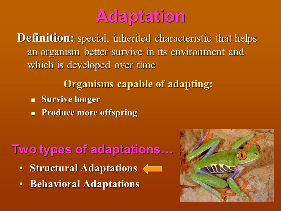 Threatened, Endangered, and Extinct Species Chapter 7 Lesson ppt download