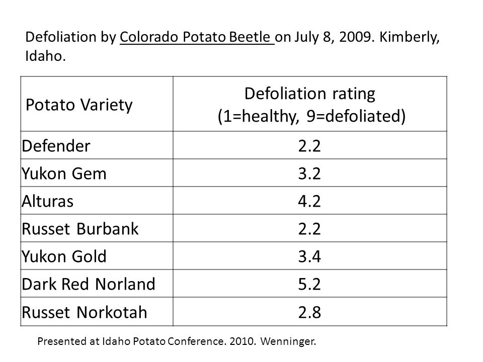 Potato Variety Defoliation rating (1=healthy, 9=defoliated) Defender2.2 Yukon Gem3.2 Alturas4.2 Russet Burbank2.2 Yukon Gold3.4 Dark Red Norland5.2 Russet Norkotah2.8 Defoliation by Colorado Potato Beetle on July 8, 2009.