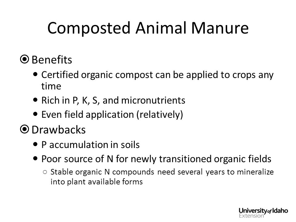 Composted Animal Manure  Benefits Certified organic compost can be applied to crops any time Rich in P, K, S, and micronutrients Even field application (relatively)  Drawbacks P accumulation in soils Poor source of N for newly transitioned organic fields ○ Stable organic N compounds need several years to mineralize into plant available forms