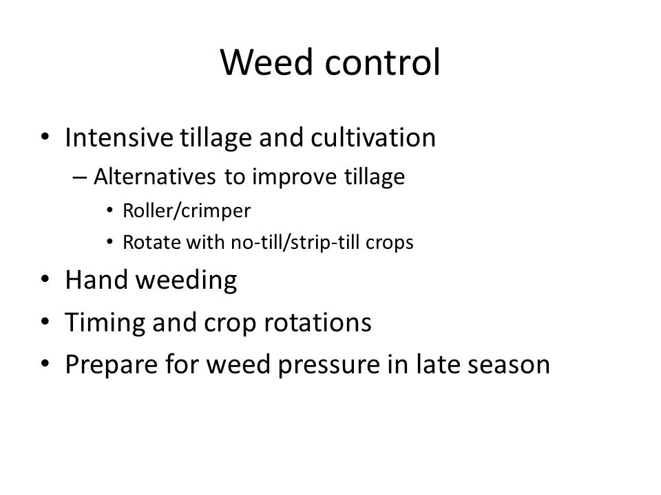 Weed control Intensive tillage and cultivation – Alternatives to improve tillage Roller/crimper Rotate with no-till/strip-till crops Hand weeding Timing and crop rotations Prepare for weed pressure in late season