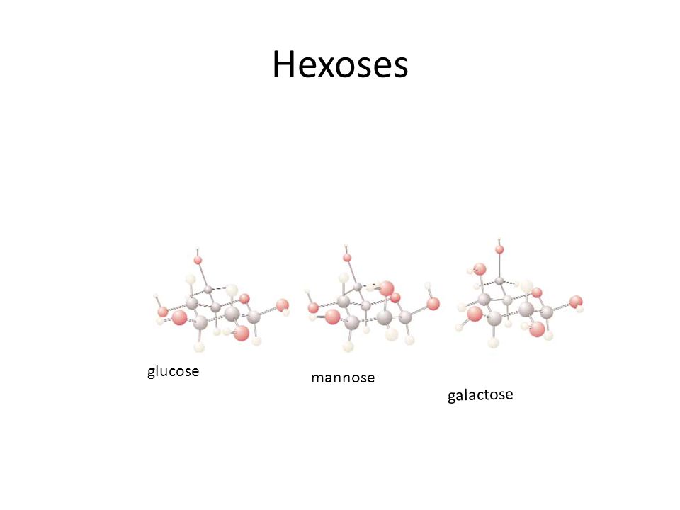 Hexoses glucose mannose galactose