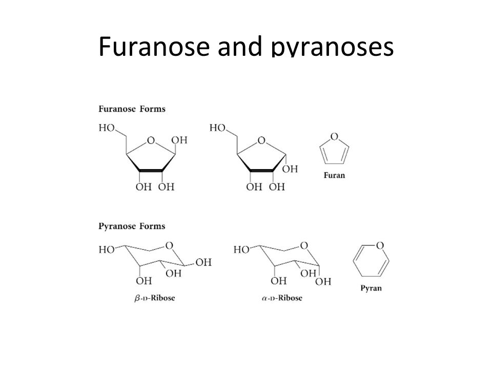 Furanose and pyranoses