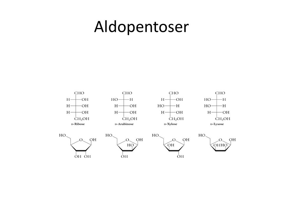 Aldopentoser