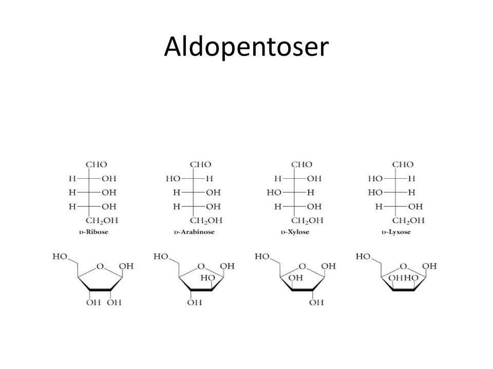 Aldopentoser