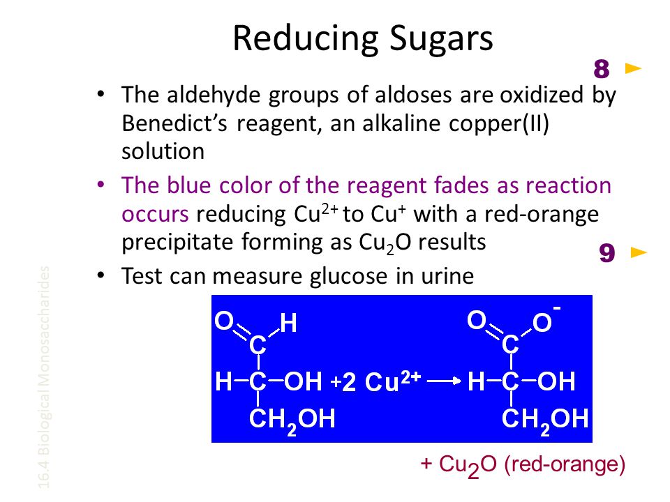 Reducing Sugars The aldehyde groups of aldoses are oxidized by Benedict’s reagent, an alkaline copper(II) solution The blue color of the reagent fades as reaction occurs reducing Cu 2+ to Cu + with a red-orange precipitate forming as Cu 2 O results Test can measure glucose in urine + Cu 2 O (red-orange) 16.4 Biological Monosaccharides 9 8