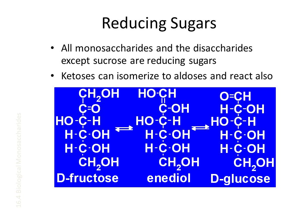 Reducing Sugars All monosaccharides and the disaccharides except sucrose are reducing sugars Ketoses can isomerize to aldoses and react also 16.4 Biological Monosaccharides