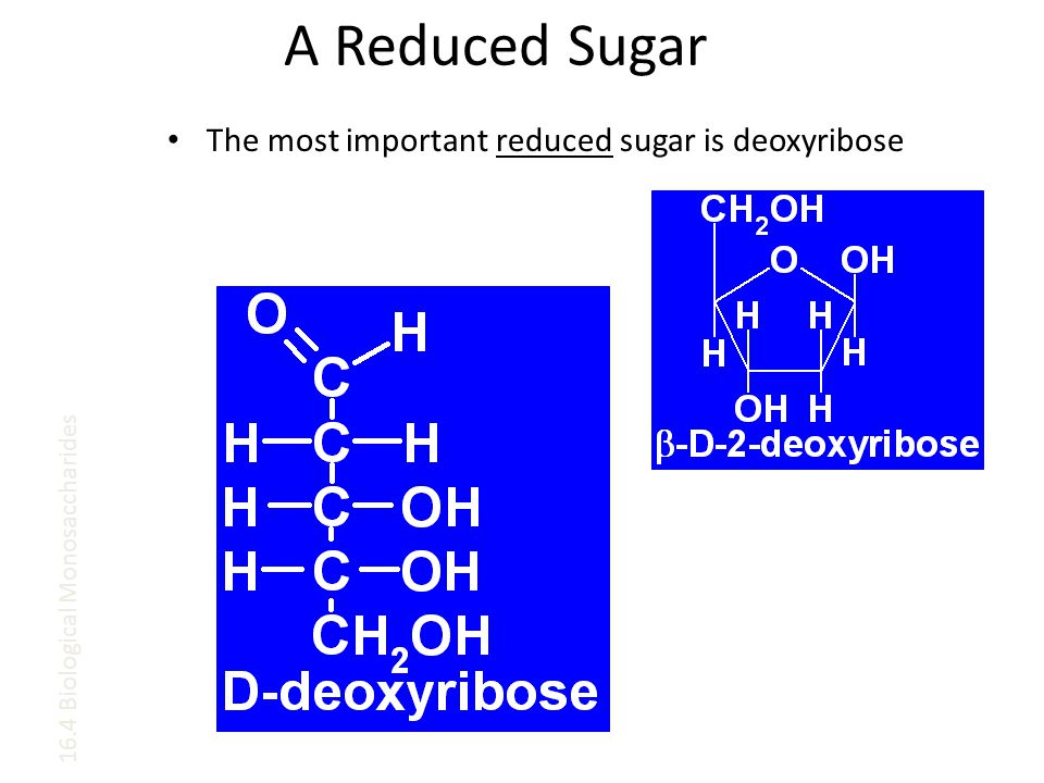 A Reduced Sugar The most important reduced sugar is deoxyribose 16.4 Biological Monosaccharides