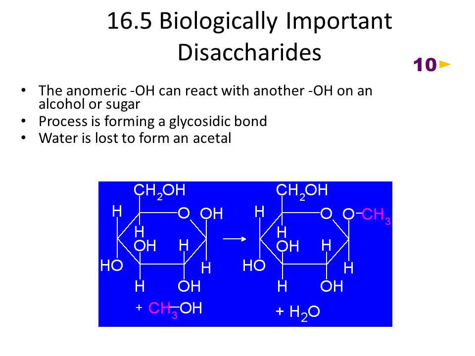 16.5 Biologically Important Disaccharides The anomeric -OH can react with another -OH on an alcohol or sugar Process is forming a glycosidic bond Water is lost to form an acetal 10