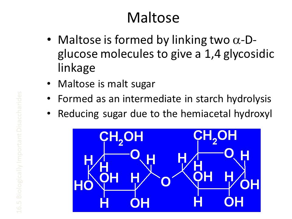 Maltose Maltose is formed by linking two  -D- glucose molecules to give a 1,4 glycosidic linkage Maltose is malt sugar Formed as an intermediate in starch hydrolysis Reducing sugar due to the hemiacetal hydroxyl 16.5 Biologically Important Disaccharides