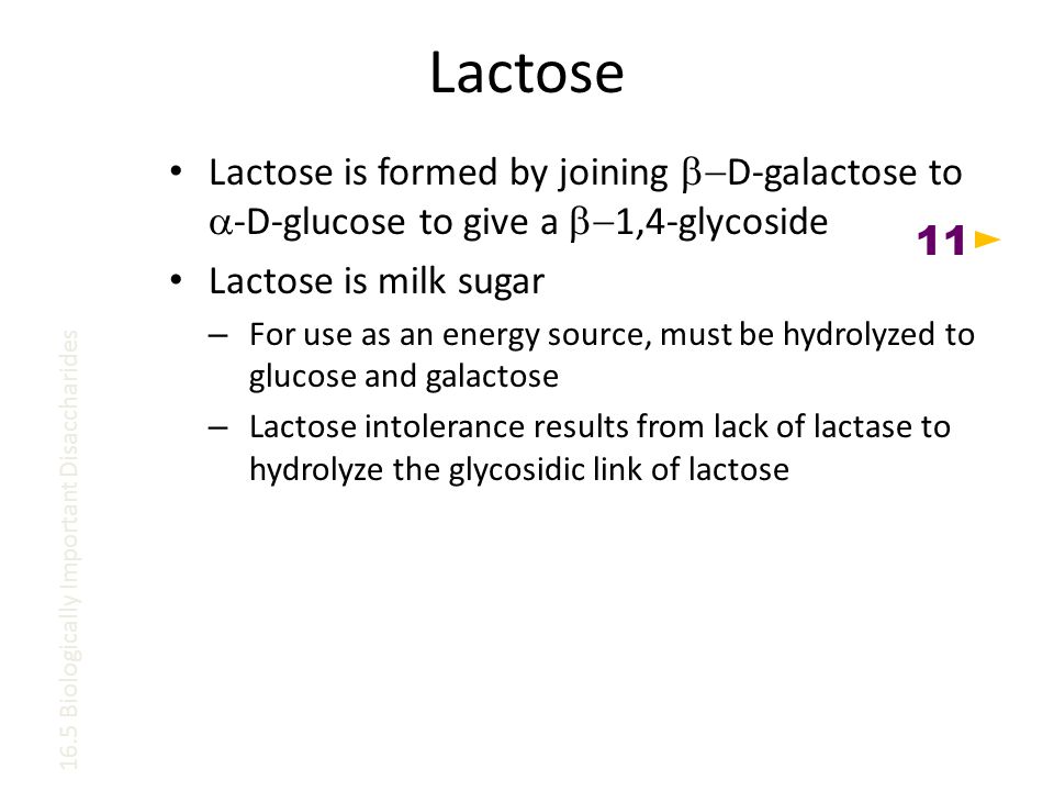 Lactose Lactose is formed by joining  D-galactose to  -D-glucose to give a  1,4-glycoside Lactose is milk sugar – For use as an energy source, must be hydrolyzed to glucose and galactose – Lactose intolerance results from lack of lactase to hydrolyze the glycosidic link of lactose 16.5 Biologically Important Disaccharides 11