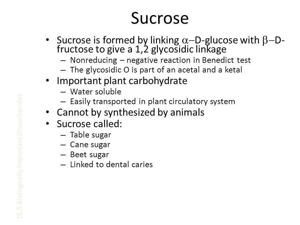 Sucrose Sucrose is formed by linking  D-glucose with  D- fructose to give a 1,2 glycosidic linkage – Nonreducing – negative reaction in Benedict test – The glycosidic O is part of an acetal and a ketal Important plant carbohydrate – Water soluble – Easily transported in plant circulatory system Cannot by synthesized by animals Sucrose called: – Table sugar – Cane sugar – Beet sugar – Linked to dental caries 16.5 Biologically Important Disaccharides