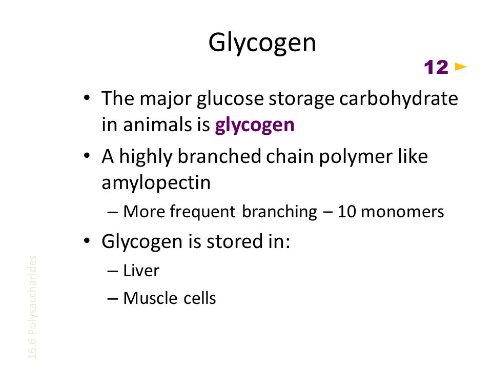 Glycogen The major glucose storage carbohydrate in animals is glycogen A highly branched chain polymer like amylopectin – More frequent branching – 10 monomers Glycogen is stored in: – Liver – Muscle cells 16.6 Polysaccharides 12