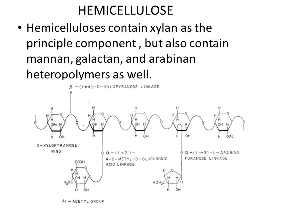 HEMICELLULOSE Hemicelluloses contain xylan as the principle component, but also contain mannan, galactan, and arabinan heteropolymers as well.