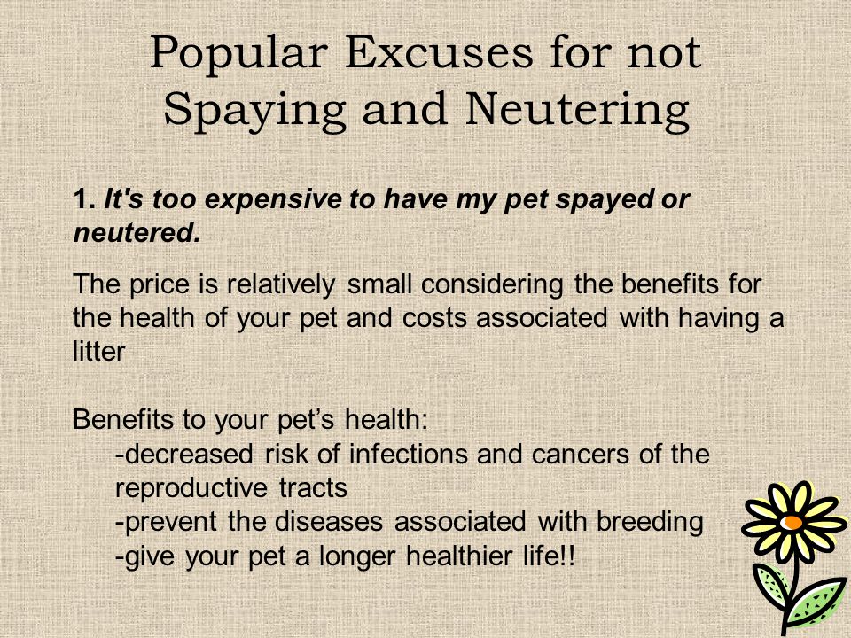 Popular Excuses for not Spaying and Neutering 1.