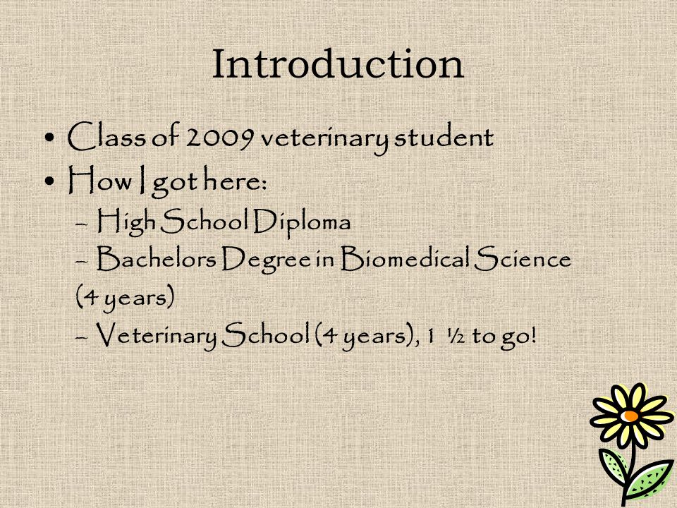 Introduction Class of 2009 veterinary student How I got here: –High School Diploma –Bachelors Degree in Biomedical Science (4 years) –Veterinary School (4 years), 1 ½ to go!