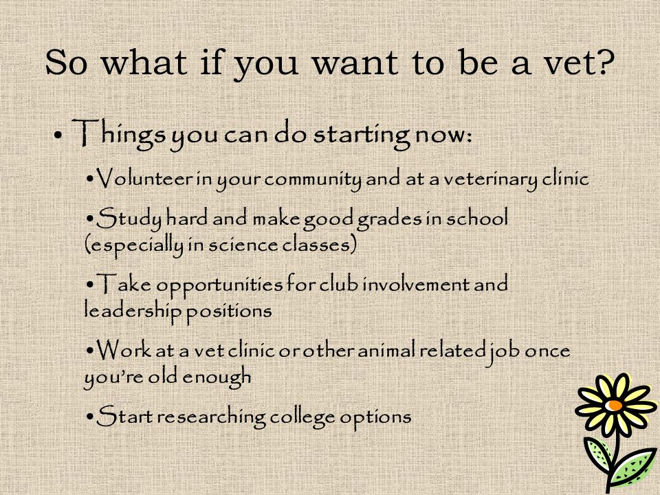 So what if you want to be a vet.