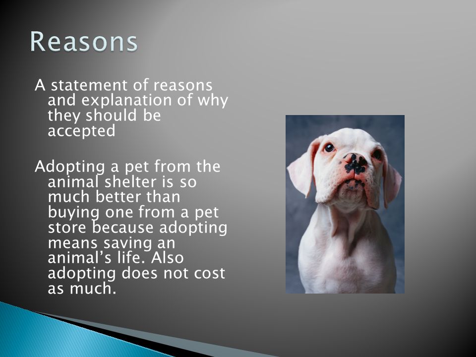 A statement of reasons and explanation of why they should be accepted Adopting a pet from the animal shelter is so much better than buying one from a pet store because adopting means saving an animal’s life.
