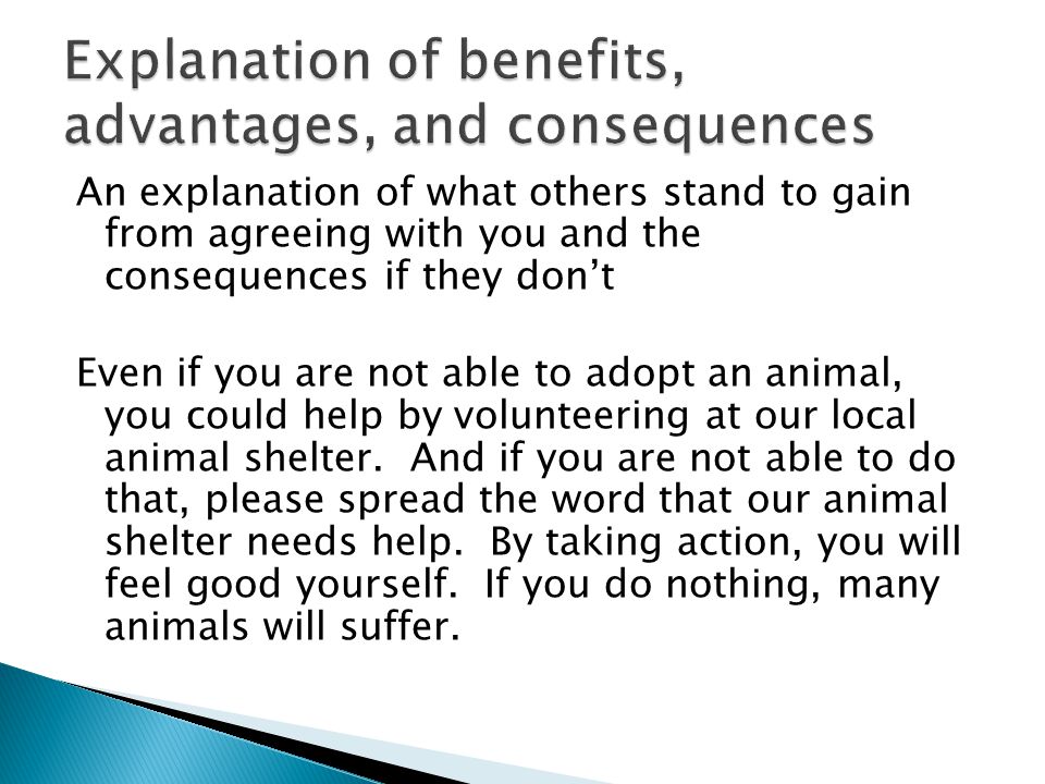 An explanation of what others stand to gain from agreeing with you and the consequences if they don’t Even if you are not able to adopt an animal, you could help by volunteering at our local animal shelter.