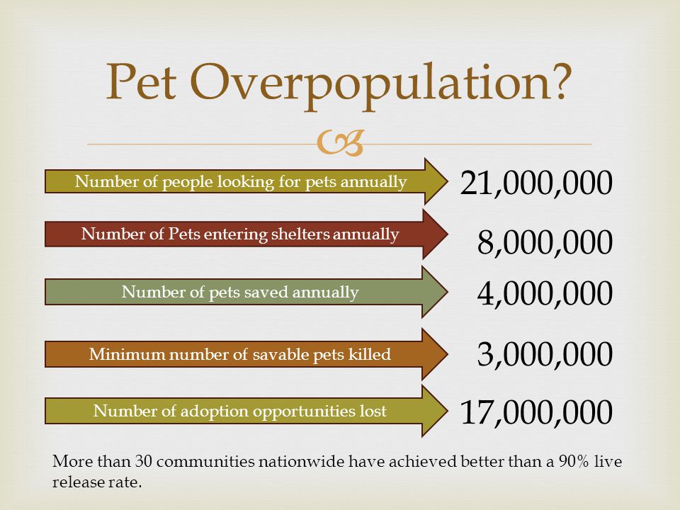  Pet Overpopulation.