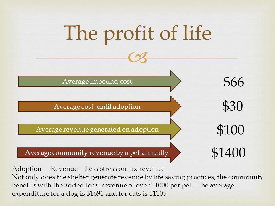  The profit of life Average community revenue by a pet annually Average impound cost Average cost until adoption Average revenue generated on adoption $1400 $66 $30 $100 Adoption = Revenue = Less stress on tax revenue Not only does the shelter generate revenue by life saving practices, the community benefits with the added local revenue of over $1000 per pet.