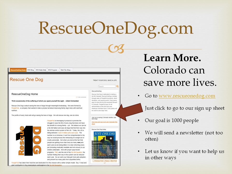  RescueOneDog.com Go to   Just click to go to our sign up sheet Our goal is 1000 people We will send a newsletter (not too often) Let us know if you want to help us in other ways Learn More.
