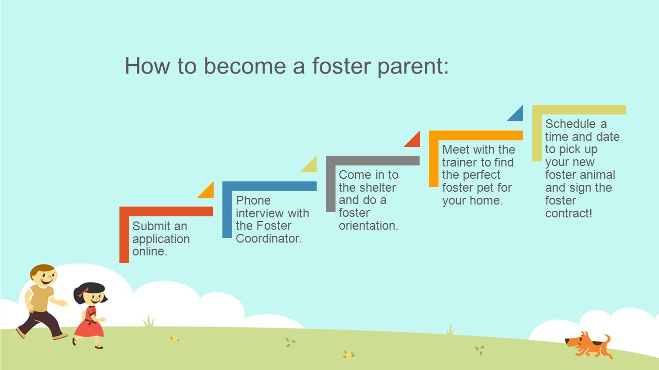 What makes an animal a foster candidate.