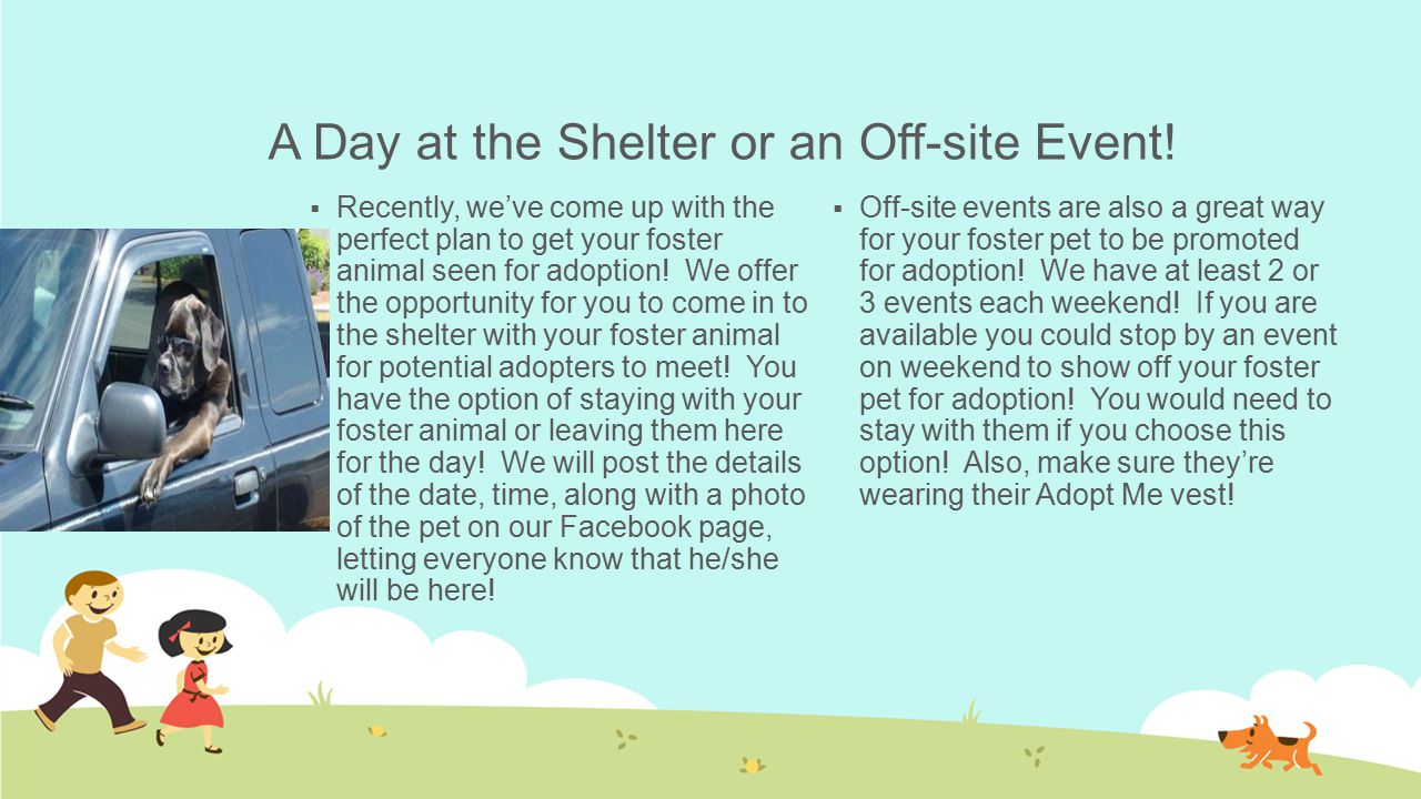 Networking Your Foster Pet It is important to help us spread the word that your foster pet is available for adoption.