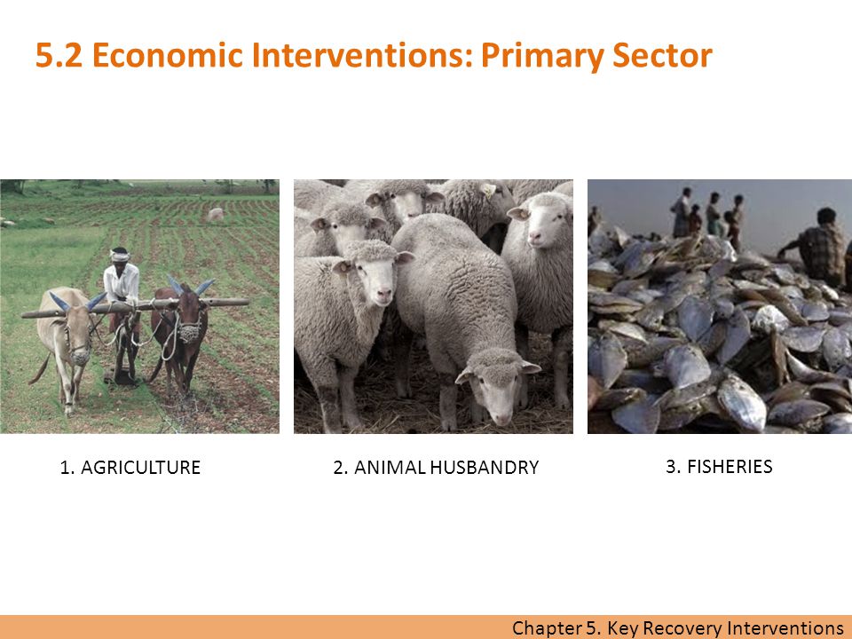 Chapter 5. Key Recovery Interventions 1. AGRICULTURE 2.