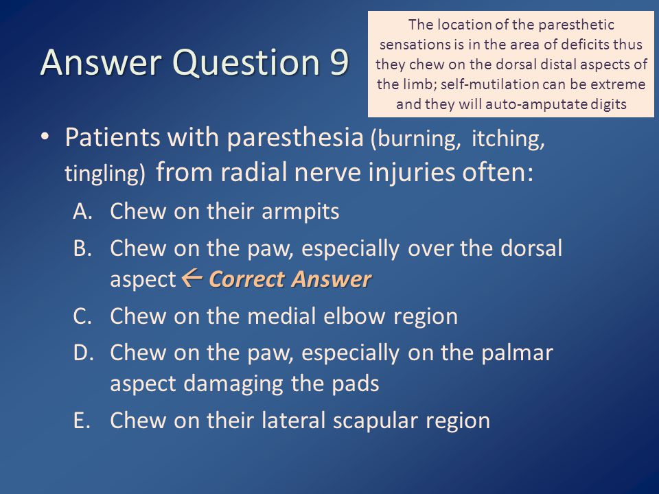 Answer Question 1 The radial nerve is principally derived from which ...