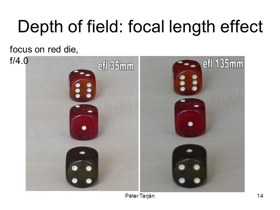 Péter Tarján14 Depth of field: focal length effect focus on red die, f/4.0