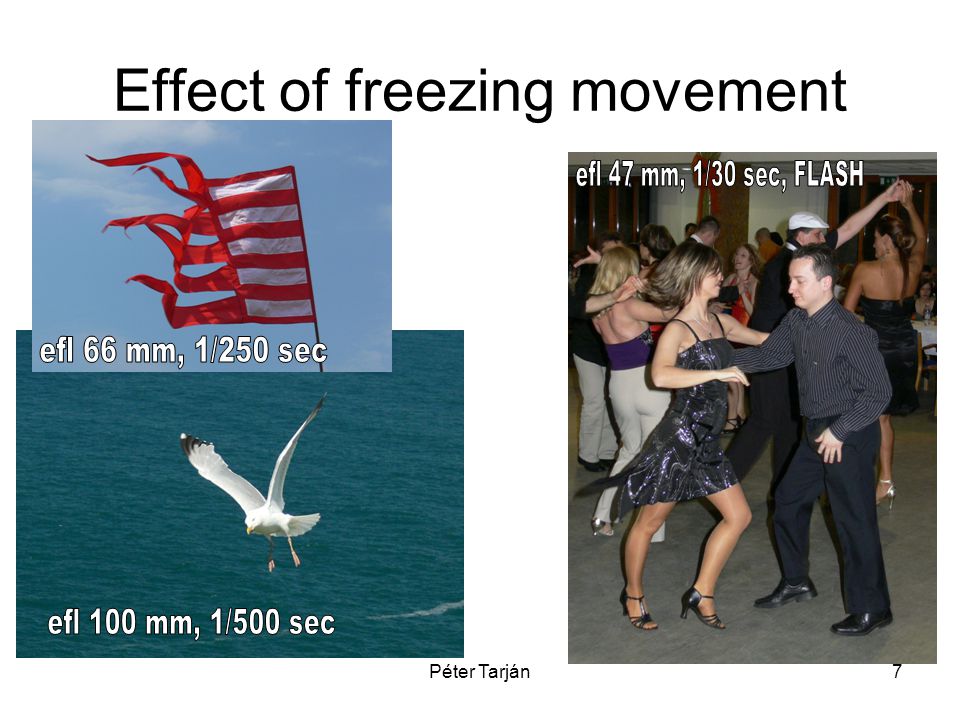 Péter Tarján7 Effect of freezing movement