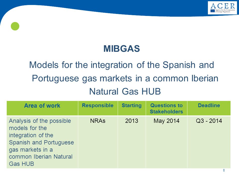 8 MIBGAS Models for the integration of the Spanish and Portuguese gas markets in a common Iberian Natural Gas HUB Area of work ResponsibleStartingQuestions to Stakeholders Deadline Analysis of the possible models for the integration of the Spanish and Portuguese gas markets in a common Iberian Natural Gas HUB NRAs2013May 2014Q
