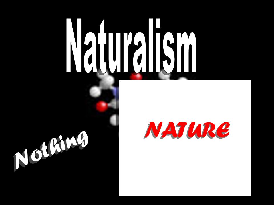 Nothing N o t h i n g NATURE NATURE