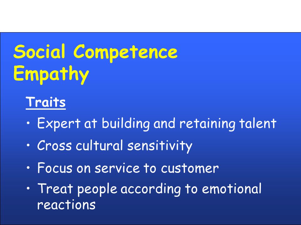 Social Competence Empathy Traits Expert at building and retaining talent Cross cultural sensitivity Focus on service to customer Treat people according to emotional reactions